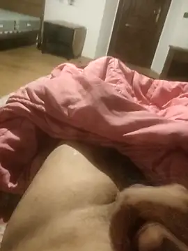 alexandrevictor6969 online show from February 27, 9:14 pm