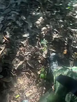 bibedro online show from February 28, 9:14 pm