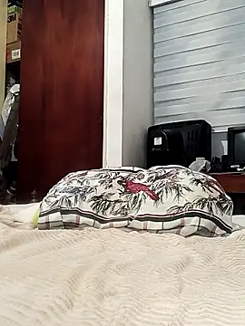 davidalejandrocastillo online show from February 27, 6:36 am