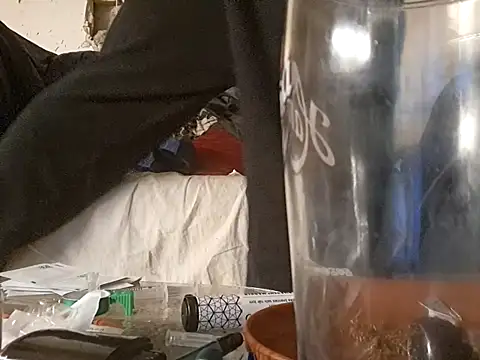 AWolf92 online show from March 30, 5:41 am