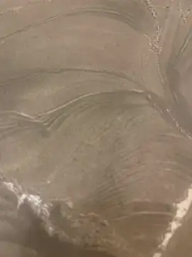 sharks90 online show from April 14, 4:01 am