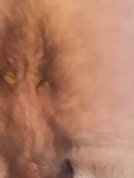 Josex69Gz online show from April 1, 12:18 pm