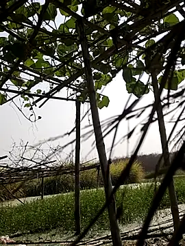 ThethunderPo online show from November 20, 7:18 am