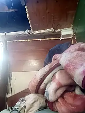 Serapitocojelon online show from November 19, 12:10 am