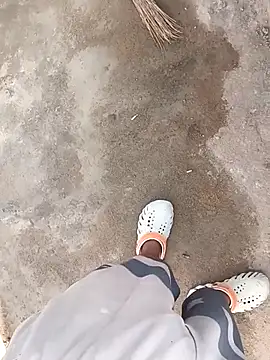 Bengali BULL1 online show from November 20, 10:03 am