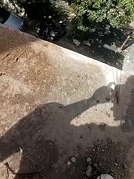 Bengali BULL1 online show from October 10, 4:28 am