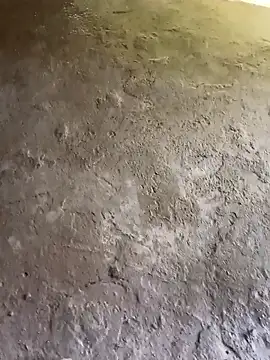 Bengali BULL1 online show from October 31, 9:34 am