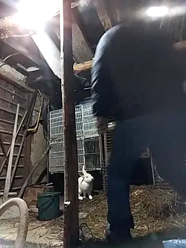 sarpe4 online show from February 19, 4:14 pm