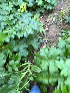 curcuro online show from March 28, 3:23 pm