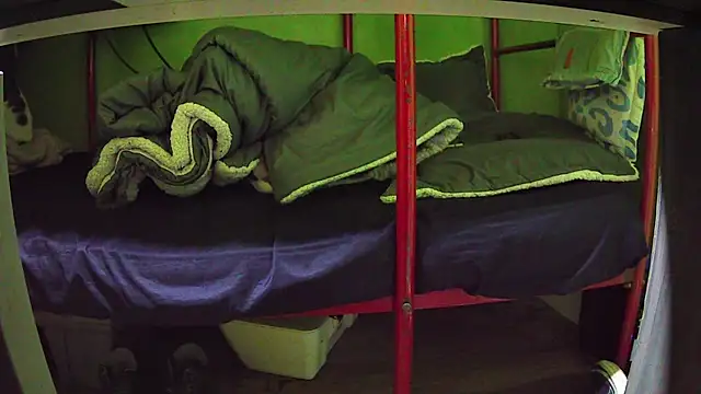 Walltaz online show from March 24, 5:01 am