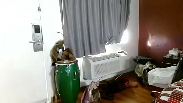 mycock2474u online show from November 10, 2:55 pm