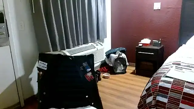 mycock2474u online show from November 7, 6:39 am