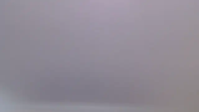 florida0217 online show from July 27, 9:33 pm