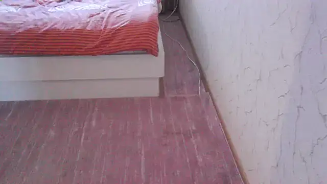 svvs27 online show from March 27, 8:26 am