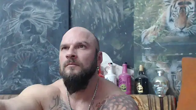 viking 30 online show from November 23, 7:47 pm