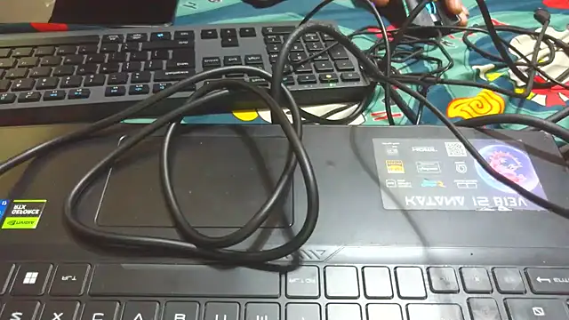 bigpennisboys online show from November 22, 12:32 am