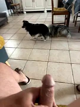 Loul41 online show from November 2, 2:54 pm