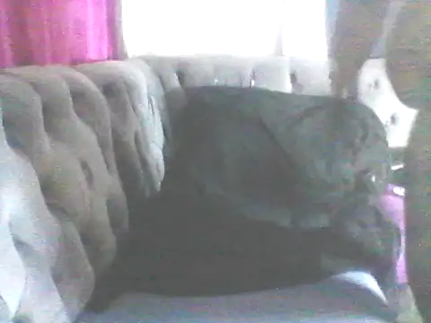 Wanderkid33 online show from January 17, 7:38 pm