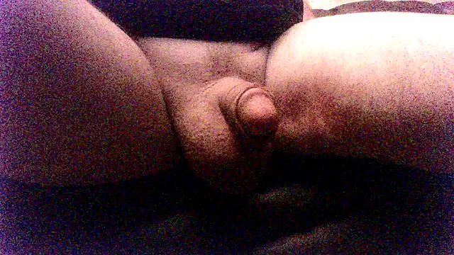 SDtinycok online show from October 12, 2:00 pm