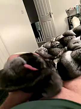 Snapshot of Furdale chatting on October 30, 4:52 pm Furdale online show from October 30, 4:52 pm