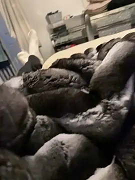 Furdale online show from February 26, 5:25 pm