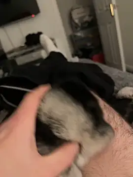 Snapshot of Furdale chatting on January 17, 4:59 pm Furdale online show from January 17, 4:59 pm