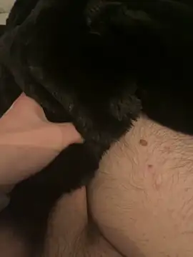 Snapshot of Furdale chatting on December 10, 5:44 pm Furdale online show from December 10, 5:44 pm