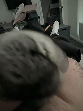 Furdale online show from December 2, 2:53 pm