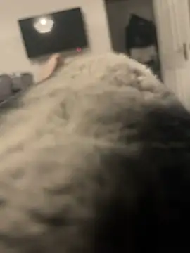 Snapshot of Furdale chatting on January 13, 4:08 pm Furdale online show from January 13, 4:08 pm