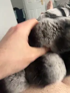 Snapshot of Furdale chatting on December 2, 12:38 pm Furdale online show from December 2, 12:38 pm