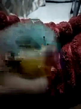 Spijomzo online show from March 26, 6:23 pm