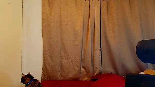 jimmy class online show from October 16, 12:29 am