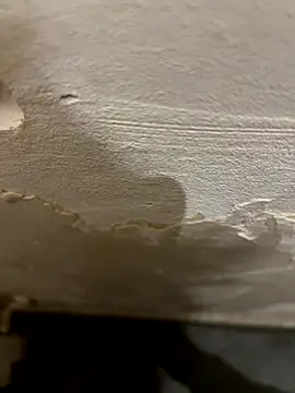 fengchui online show from September 30, 1:03 pm