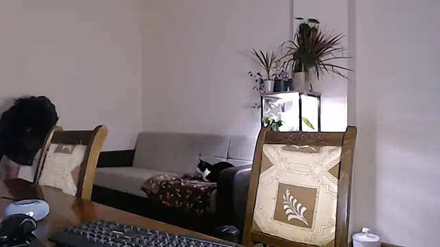 Herman Elfi online show from February 13, 2:42 pm