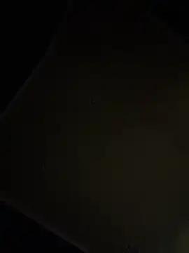 dingoding online show from April 16, 9:39 pm