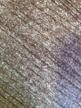 gokhanbey34 online show from October 12, 7:46 am