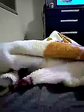 shiiank online show from July 14, 12:45 am
