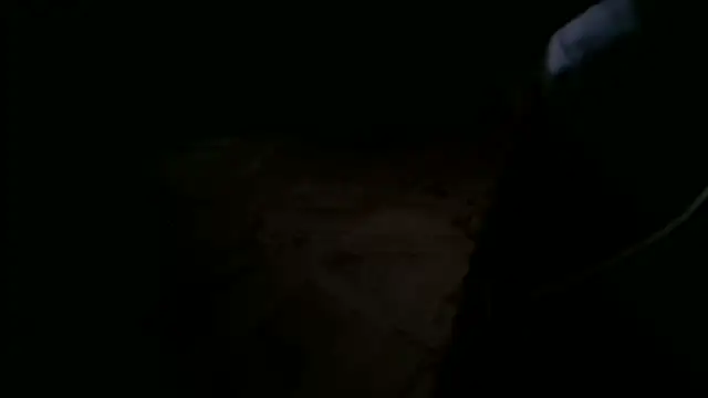 Majestic-Class online show from March 14, 2:13 pm