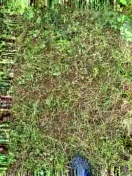 Gopal1243 online show from October 9, 2:05 am