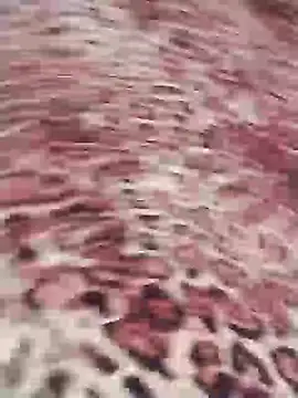 juniorlove69 online show from September 27, 11:02 pm