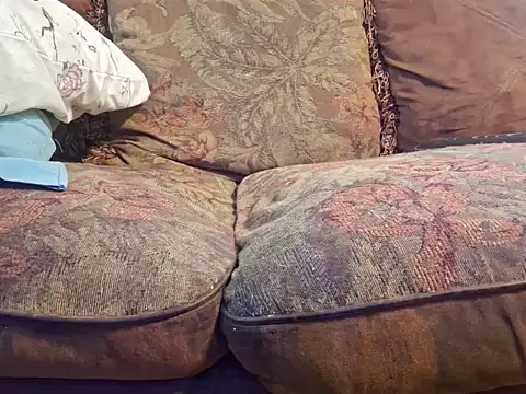 highstepper500 online show from October 21, 1:58 pm