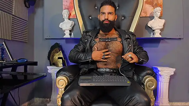 Snapshot of BeardAndrew chatting on December 7, 2:31 am BeardAndrew online show from December 7, 2:31 am