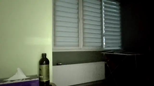 SexSanich online show from October 11, 4:05 am