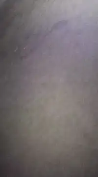 Snapshot of SLhigmama chatting on January 29, 5:45 pm SLhigmama online show from January 29, 5:45 pm