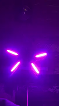 KBONE36 online show from January 16, 9:56 am