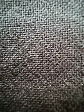 CoolBiDude online show from March 25, 2:43 pm