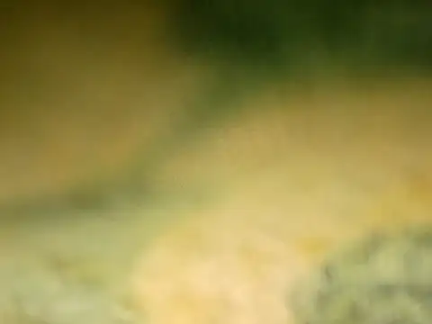 Bigcockmexi13 online show from February 16, 11:25 pm