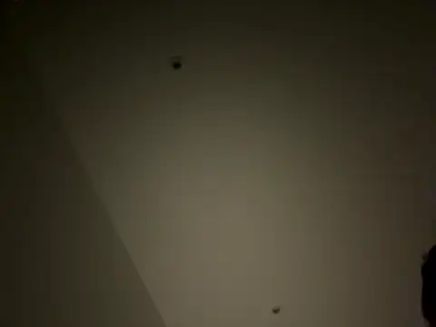 Aulonocara86 online show from January 13, 1:43 am