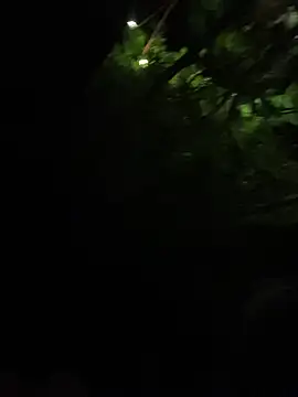 xTommy Steigerx online show from October 3, 3:22 am