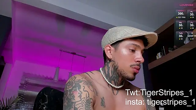 TigerStripes1  online show from February 9, 10:32 pm